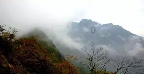 网球运动员营救