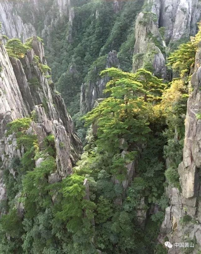 苗族古歌研究的丰硕收获 | 读《苗族古歌的审美研究》有感